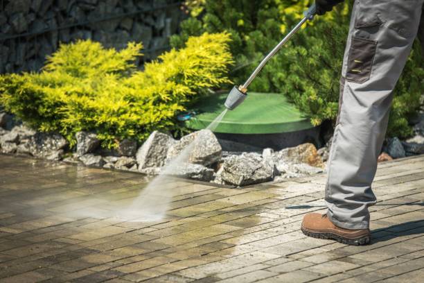 Best Animal Enclosure Cleaning  in Benwood, WV
