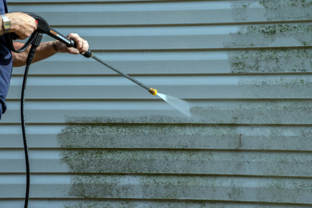 Best Sidewalk and Walkway Cleaning  in Benwood, WV