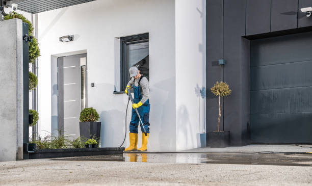 Best Solar Panel Cleaning  in Benwood, WV